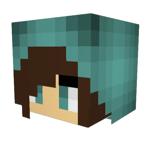 ywsm Minecraft avatar head, 3D render