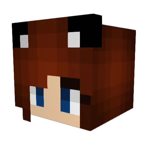 ywy25 Minecraft avatar head, 3D render