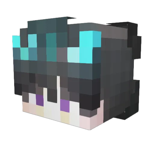 yy_666 Minecraft avatar head, 3D render