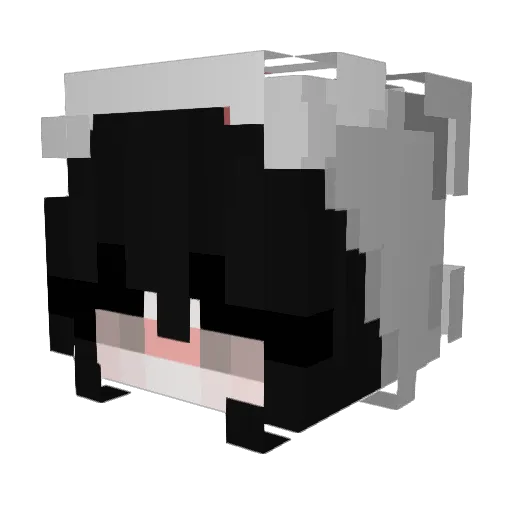 yy_eee Minecraft avatar head, 3D render