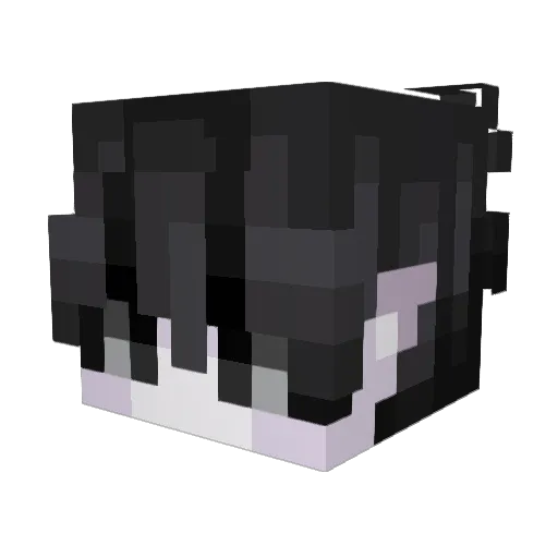 yyaaang Minecraft avatar head, 3D render