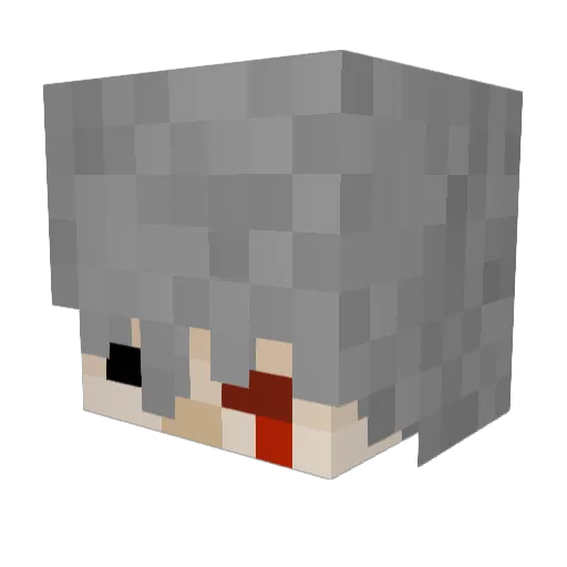 yyycccmiao Minecraft avatar head, 3D render