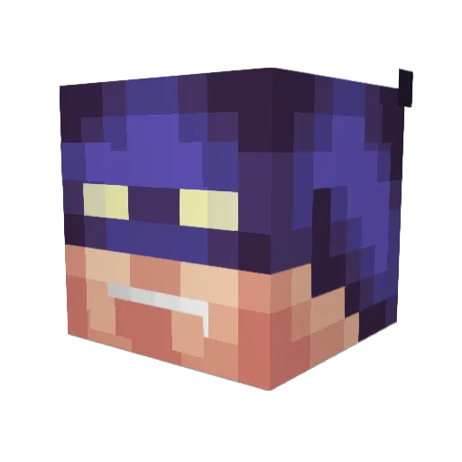 z00ka Minecraft avatar head, 3D render