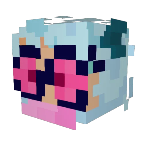 z01nks_ Minecraft avatar head, 3D render