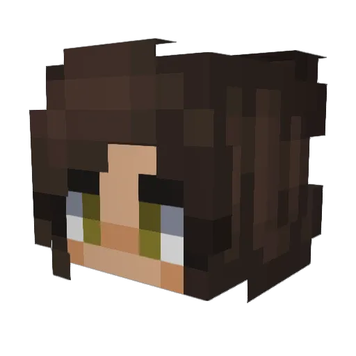 z0eee Minecraft avatar head, 3D render