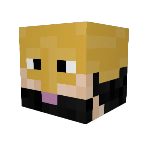 z0mb1e_11 Minecraft avatar head, 3D render
