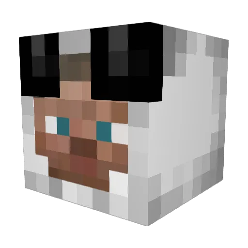 z0mbiepanda Minecraft avatar head, 3D render