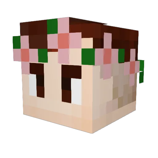 z0nGeR Minecraft avatar head, 3D render