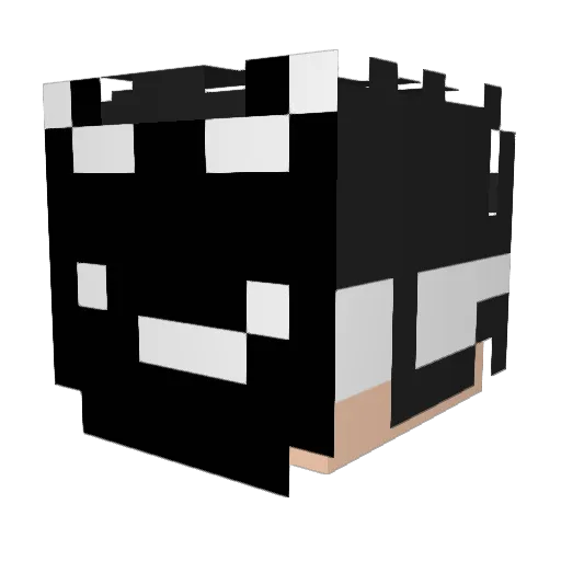 z1Luc Minecraft avatar head, 3D render
