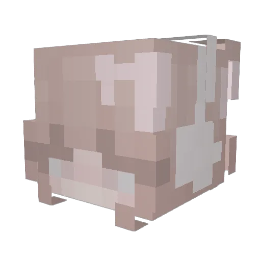z1jn Minecraft avatar head, 3D render