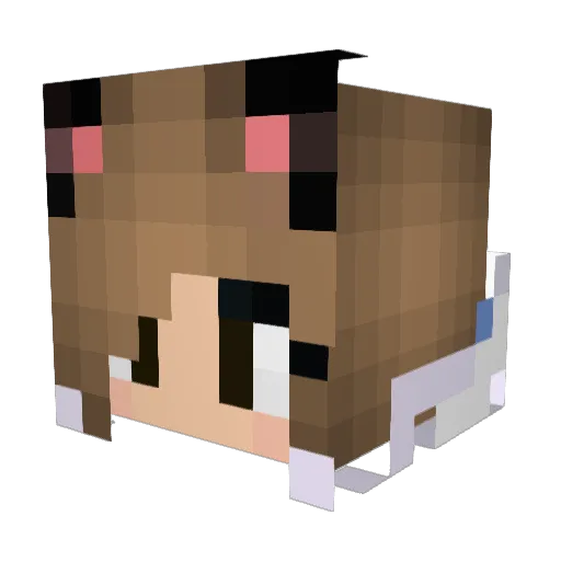 z1pd Minecraft avatar head, 3D render