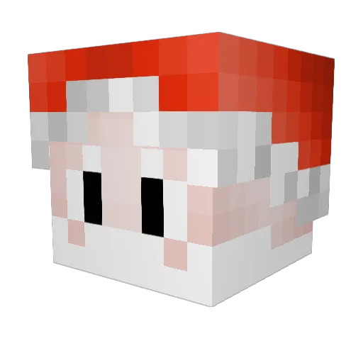 z1t Minecraft avatar head, 3D render