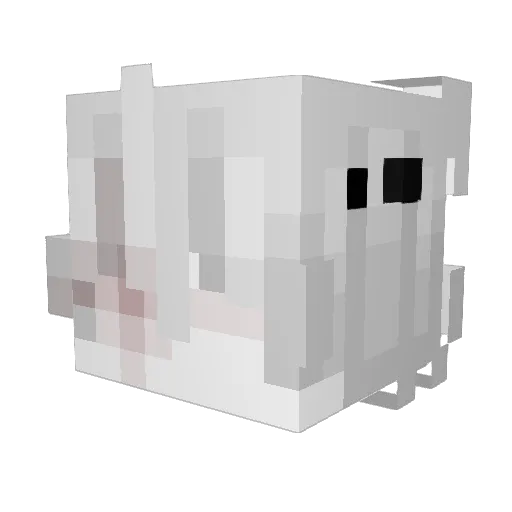 z2_0 Minecraft avatar head, 3D render