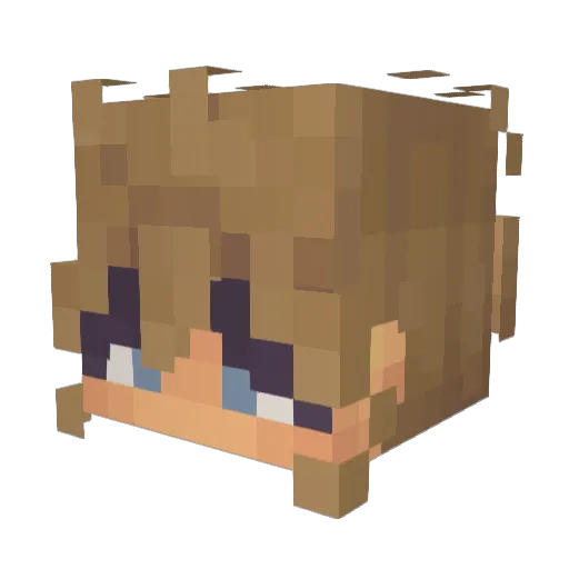 z3envy Minecraft avatar head, 3D render