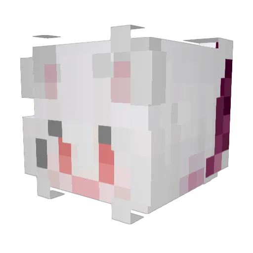 z3eowbabez_ Minecraft avatar head, 3D render