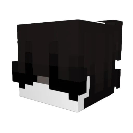 z6x7 Minecraft avatar head, 3D render
