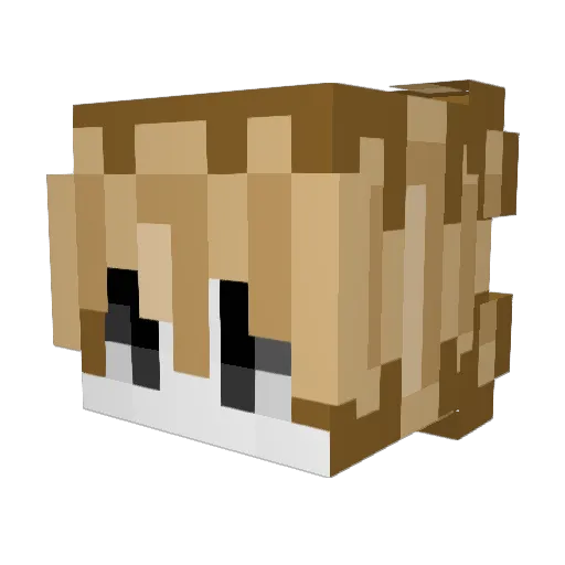 z8vk Minecraft avatar head, 3D render