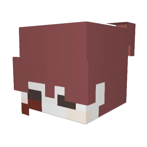zAdrizq Minecraft avatar head, 3D render