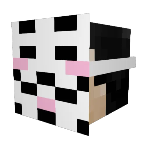 zAlevOP Minecraft avatar head, 3D render