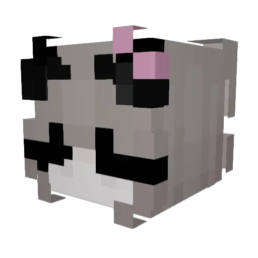 zAntonia_ Minecraft avatar head, 3D render