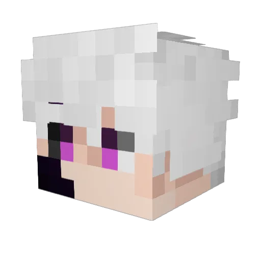 zAposentadoz Minecraft avatar head, 3D render