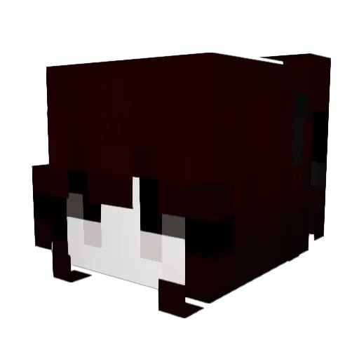 zArgentinopa Minecraft avatar head, 3D render