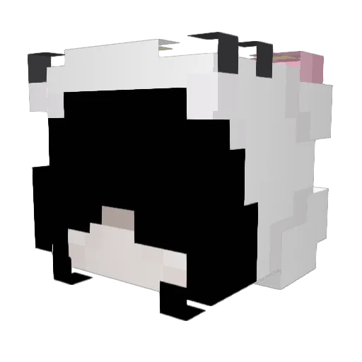 zBiz Minecraft avatar head, 3D render