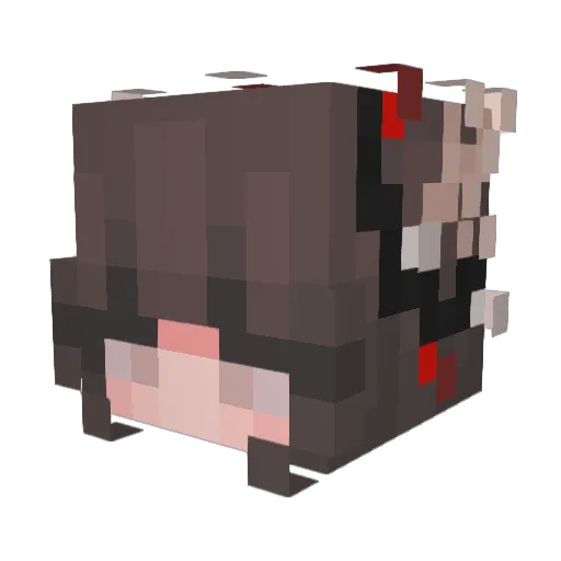 zBlah Minecraft avatar head, 3D render