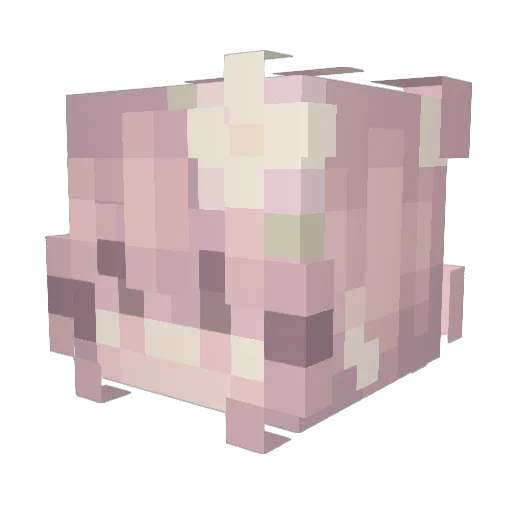 zBlq Minecraft avatar head, 3D render