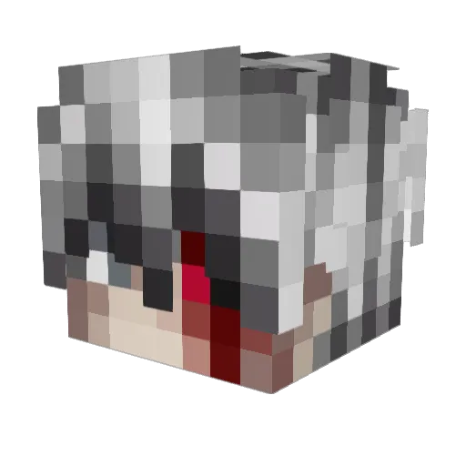 zBraianYT_ Minecraft avatar head, 3D render