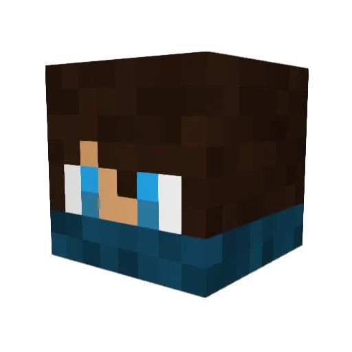 zBurritoManz Minecraft avatar head, 3D render
