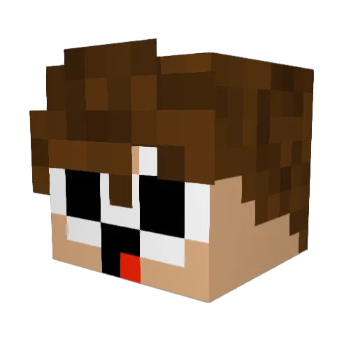 zBusfahrerjakob Minecraft avatar head, 3D render