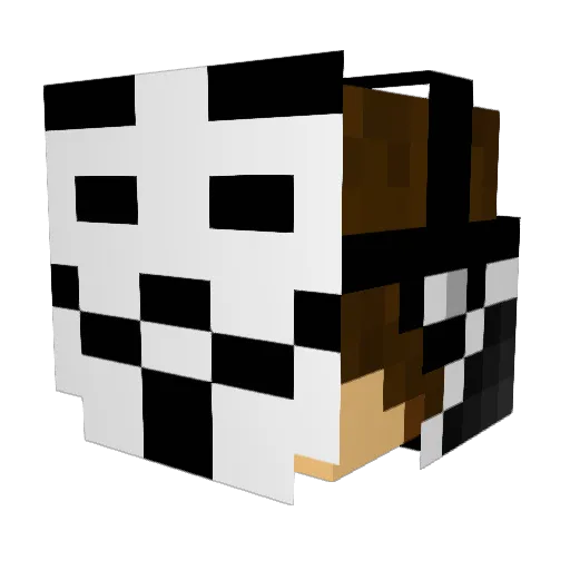 zDarkExploit Minecraft avatar head, 3D render