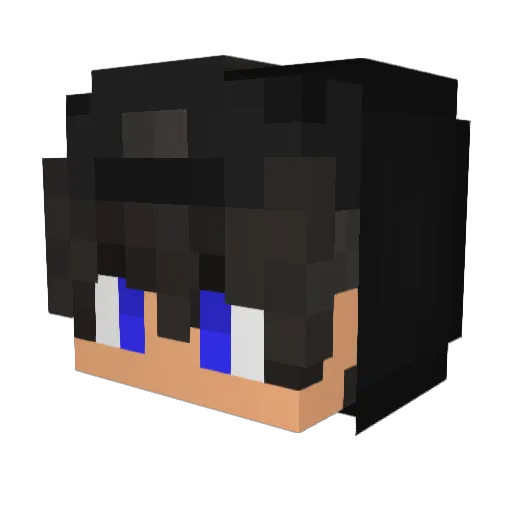 zDerp_BR Minecraft avatar head, 3D render