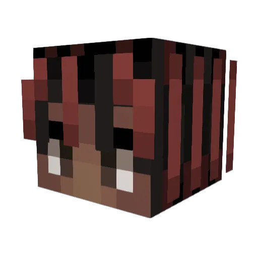 zDonr Minecraft avatar head, 3D render