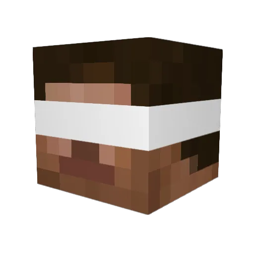 zDunk_ Minecraft avatar head, 3D render