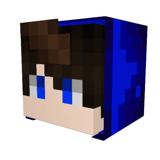 zFoxyBR Minecraft avatar head, 3D render