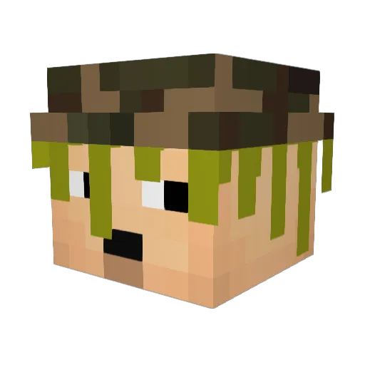 zFuuuckMyReach Minecraft avatar head, 3D render