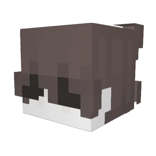 zGabrielBR_ Minecraft avatar head, 3D render