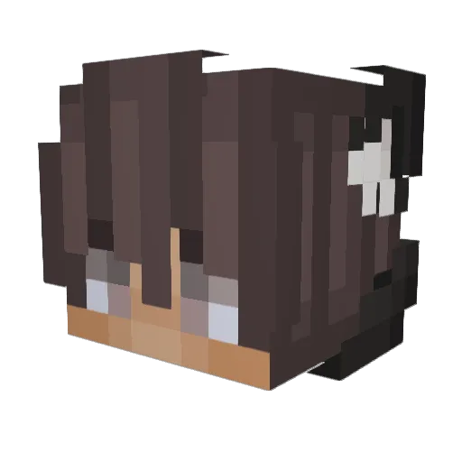 zGoqKyle_ Minecraft avatar head, 3D render