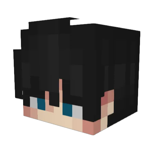 zHydroFlash Minecraft avatar head, 3D render