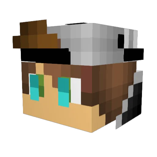 zIamTim Minecraft avatar head, 3D render