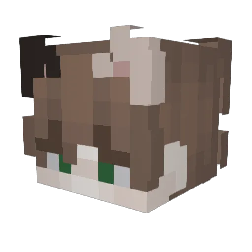 zIkari_ Minecraft avatar head, 3D render
