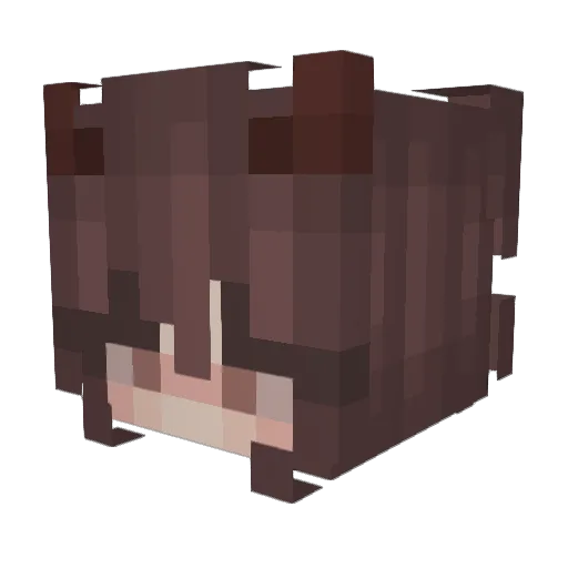 zIremStrqfe_ Minecraft avatar head, 3D render