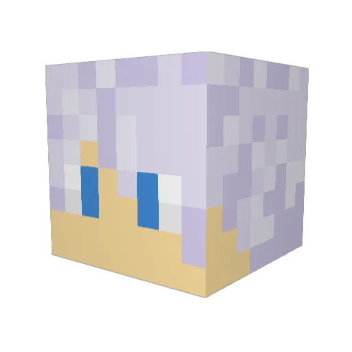 zJhony Minecraft avatar head, 3D render
