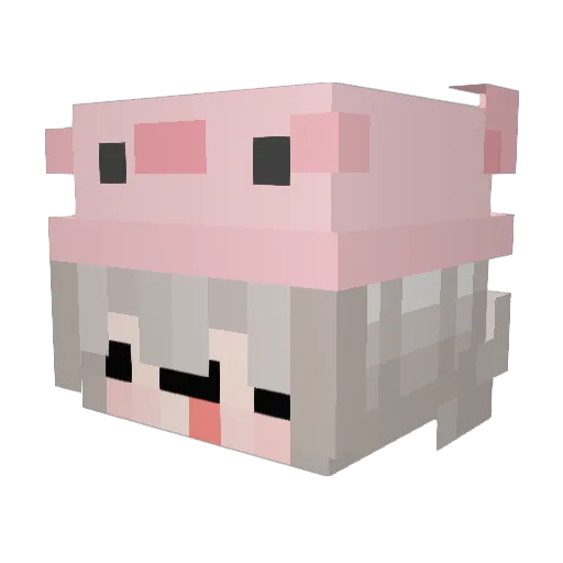 zJuliaBR Minecraft avatar head, 3D render