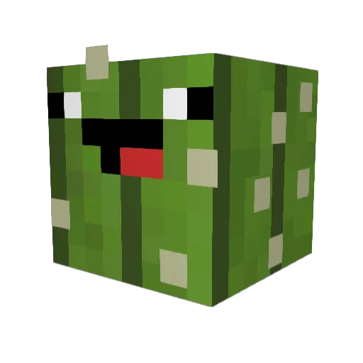zKaktus Minecraft avatar head, 3D render