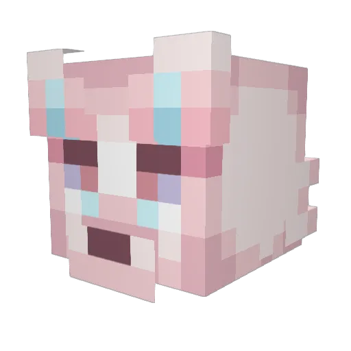 zKineticKat Minecraft avatar head, 3D render