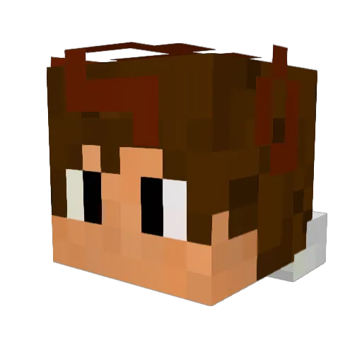 zKingXL Minecraft avatar head, 3D render