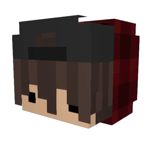 zKinqTom Minecraft avatar head, 3D render